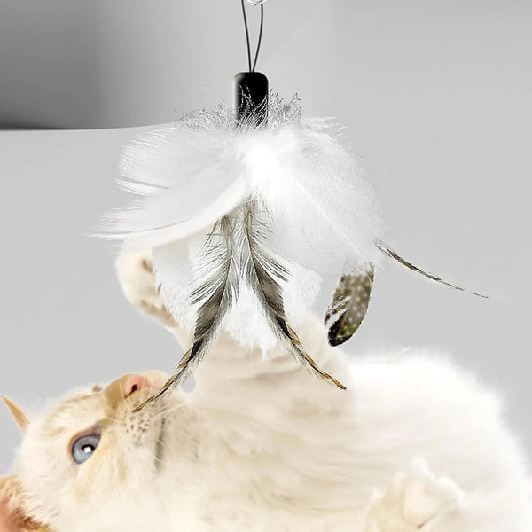 Chasse Enchantée – Canne à Plume pour Chat