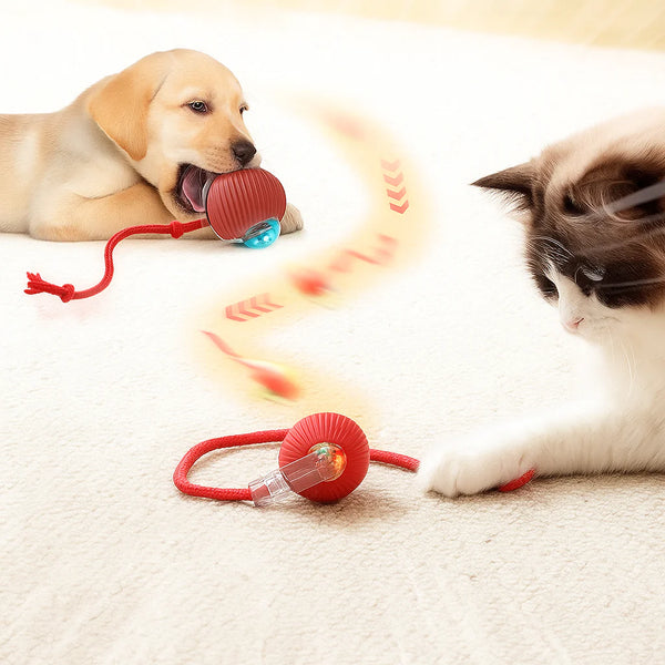 Boule de Jeu Interactive pour Chat et Petit Chien – Mouvement Réaliste, Rechargeable et Résistante