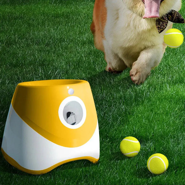 FetchMaster – Lanceur Automatique de Balles pour Petits Chiens