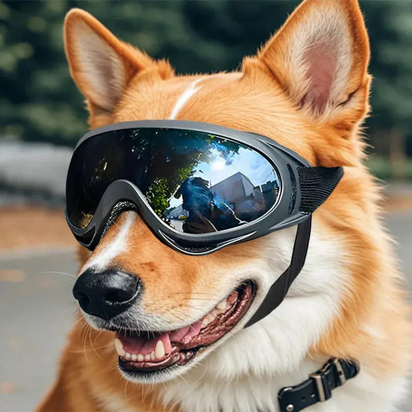 Dog Riders – Lunettes de Protection UV pour Chiens Aventuriers