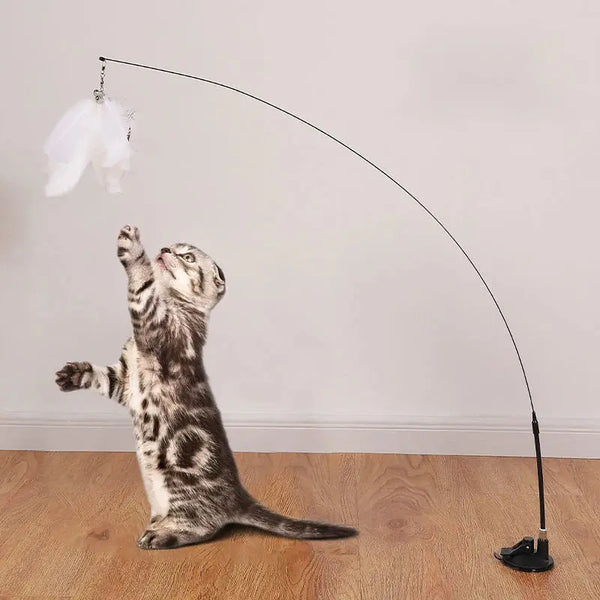 Chasse Enchantée – Canne à Plume pour Chat