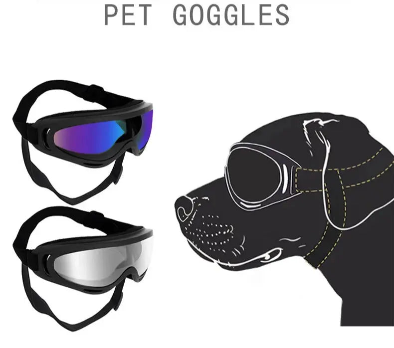 Dog Riders – Lunettes de Protection UV pour Chiens Aventuriers