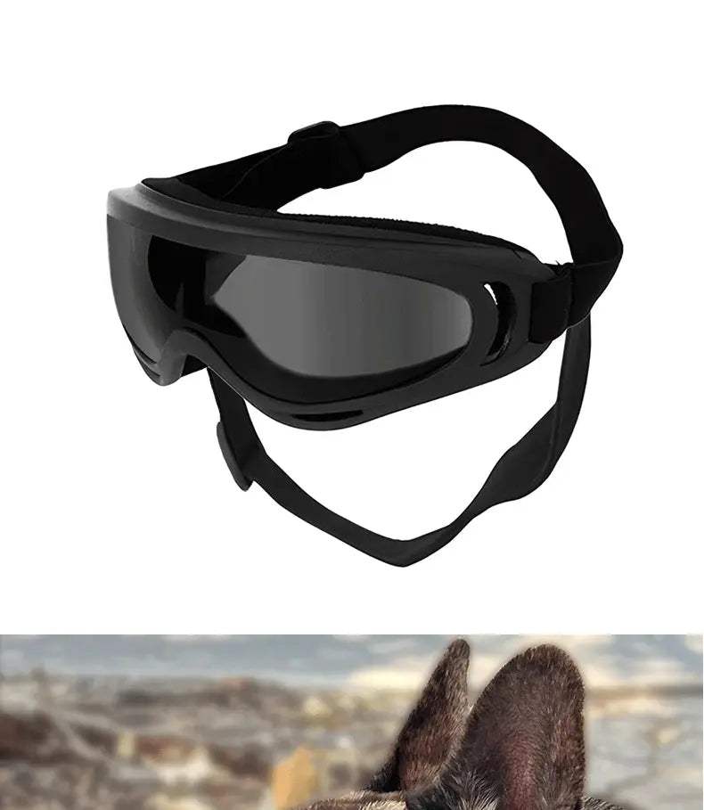 Dog Riders – Lunettes de Protection UV pour Chiens Aventuriers
