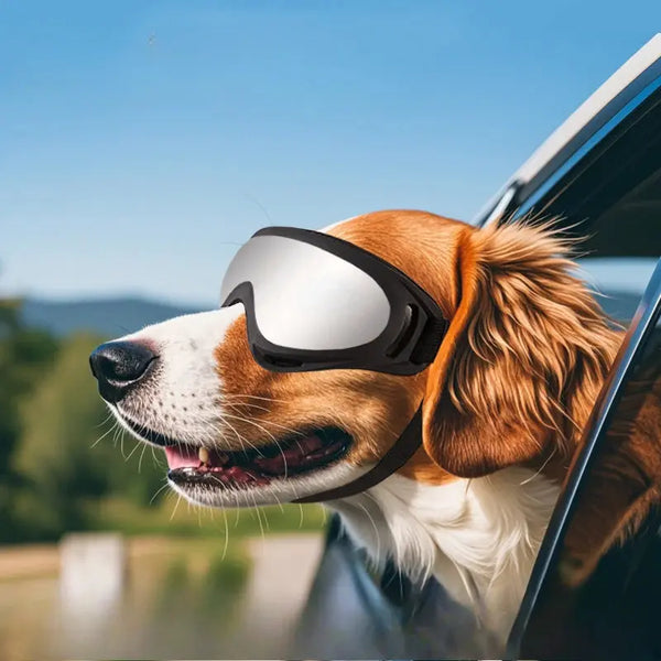 Dog Riders – Lunettes de Protection UV pour Chiens Aventuriers