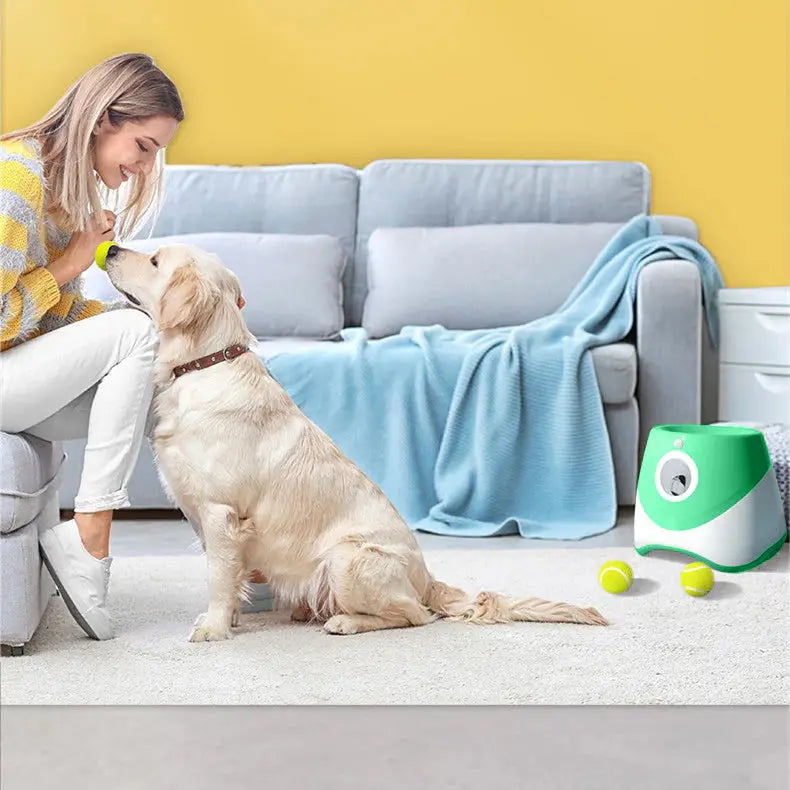 FetchMaster – Lanceur Automatique de Balles pour Petits Chiens