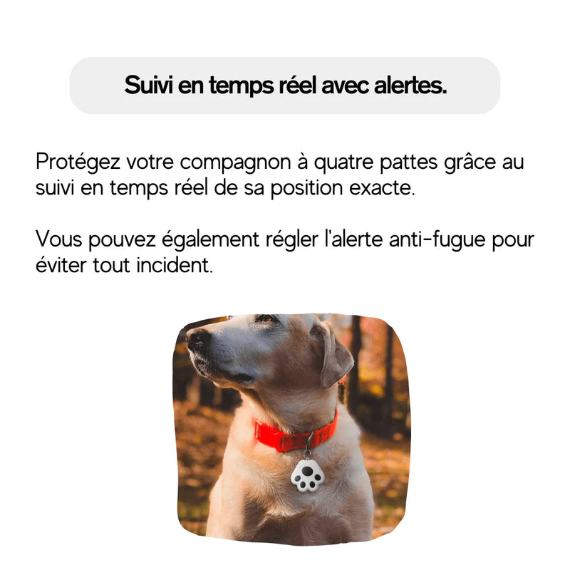 Traceur Intelligent SafePet – Sécurité et liberté pour vos animaux