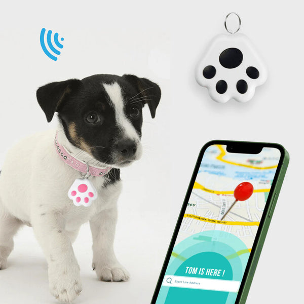 Traceur Intelligent SafePet – Sécurité et liberté pour vos animaux