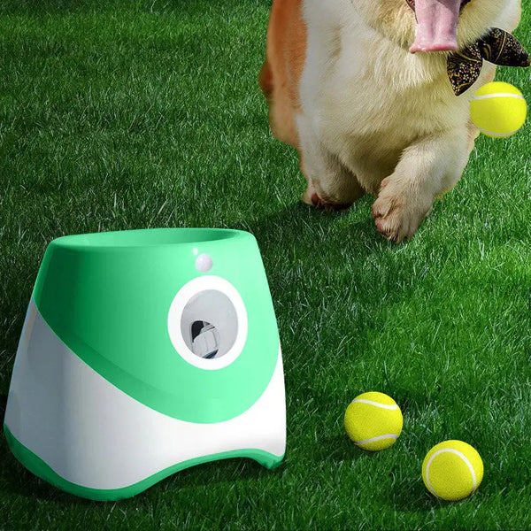 FetchMaster – Lanceur Automatique de Balles pour Petits Chiens